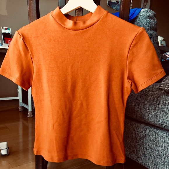 American Apparel Tops - American Apparel burnt orange mock neck crop top